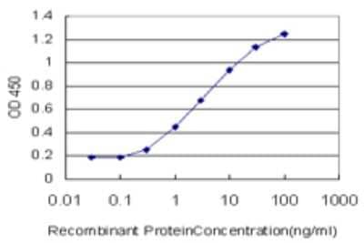 Sandwich ELISA: AKAP9 Antibody (1A6) [H00010142-M01] - Detection limit for recombinant GST tagged AKAP9 is approximately 0.3ng/ml as a capture antibody.