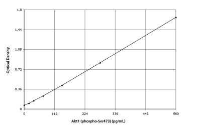ELISA: Human, Mouse, Rat AKT1/2 [p Ser473, p Ser474] ELISA Kit (Colorimetric) [NBP2-61397] - AKT ELISA Kit (Colorimetric) [NBP2-61397] - These standard curves are provided for demonstration only. A standard curve should be generated for each set of samples assayed.