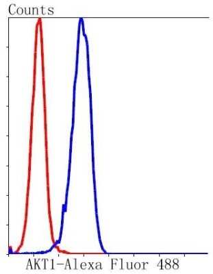 Flow Cytometry: AKT1 Antibody (ST48-09) [NBP2-67519] - Flow cytometric analysis of HeLa cells with AKT1 antibody at 1:50 dilution (blue) compared with an unlabelled control (cells without primary antibody incubation; red). Alexa Fluor 488-conjugated goat anti rabbit IgG was used as the secondary antibody.