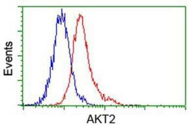 Flow Cytometry: AKT2 Antibody (4H7) [NBP2-02231] - Analysis of Jurkat cells, using anti-AKT2 antibody, (Red), compared to a nonspecific negative control antibody (Blue).