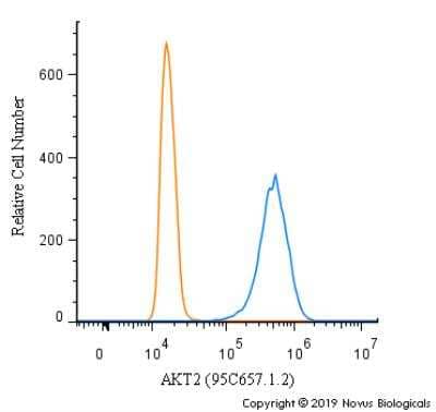 Flow Cytometry: AKT2 Antibody (95C657.1.2) [NB100-56676] - An intracellular stain was performed on A549 cells with AKT2 Antibody (95C657.1.2) NB100-56676 (blue) and a matched isotype control (orange). Cells were fixed with 4% PFA and then permeabilized with 0.1% saponin. Cells were incubated in an antibody dilution of 1.0 ug/mL for 30 minutes at room temperature, followed by Mouse IgM (H+L) Cross-Adsorbed Secondary Antibody, Dylight 488.