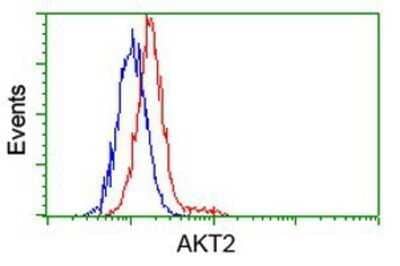 Flow Cytometry: AKT2 Antibody (OTI4H7) - Azide and BSA Free [NBP2-70146] - Analysis of Hela cells, using anti-AKT2 antibody, (Red), compared to a nonspecific negative control antibody (Blue).