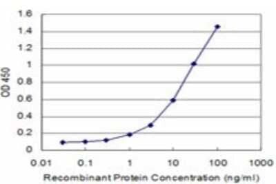 ELISA: AKT2 Antibody (X1) [H00000208-M06] - Detection limit for recombinant GST tagged AKT2 is approximately 1ng/ml as a capture antibody.