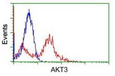 Flow Cytometry: AKT3 Antibody (OTI9B2) - Azide and BSA Free [NBP2-71528] - HEK293T cells transfected with either overexpression plasmid (Red) or empty vector control plasmid (Blue) were immunostaining by anti-AKT3 antibody, and then analyzed by flow cytometry.