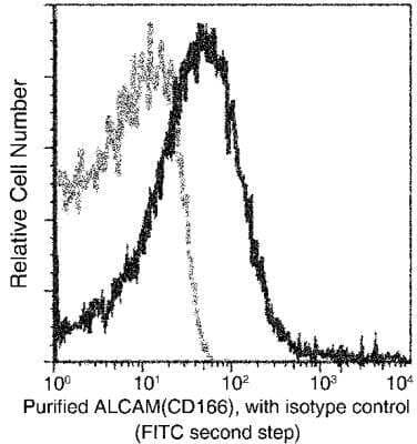 Flow Cytometry: ALCAM/CD166 Antibody (311) [NBP2-90346] - Analysis of Mouse ALCAM(CD166) expression on BABL/c splenocytes. Cells were stained with purified anti-Mouse ALCAM(CD166), then a FITC-conjugated second step antibody. The fluorescence histograms were derived from gated events with the forward and side light-scatter characteristics of intact cells.