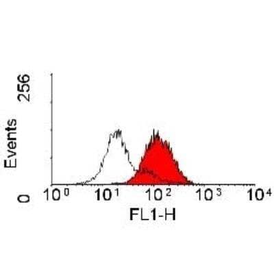 Flow Cytometry: ALCAM/CD166 Antibody (3A6) [NBP3-11402] - Flow cytometric staining of Jurkat cells with FITC conjugated Mouse anti Human CD166 antibody, clone 3A6, filled histogram and FITC conjugated Mouse IgG1 isotype control, open histogram.