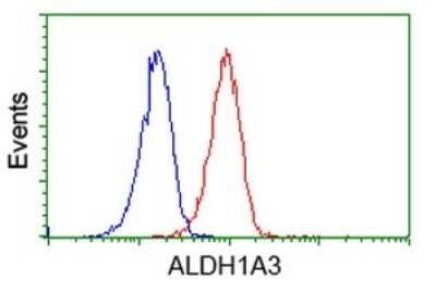 Flow Cytometry: ALDH1A3 Antibody (OTI4E8) - Azide and BSA Free [NBP2-70154] - Analysis of Jurkat cells, using ALDH1A3 antibody (Red), compared to a nonspecific negative control antibody (Blue).