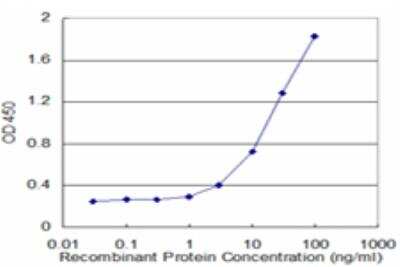 ELISA: ALDH2 Antibody (4C11) [H00000217-M17] - Detection limit for recombinant GST tagged ALDH2 is approximately 1ng/ml as a capture antibody.