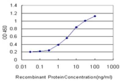 Sandwich ELISA: ALG8 Antibody (2E10) [H00079053-M01] - Detection limit for recombinant GST tagged ALG8 is approximately 0.3ng/ml as a capture antibody.