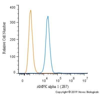 Flow Cytometry: AMPK alpha 1 Antibody (2B7) - Azide and BSA Free [NBP2-80575] - An intracellular stain was performed on RH-30 cells with AMPK alpha 1 Antibody (2B7) NBP2-22127PE (blue) and a matched isotype control (orange). Cells were fixed with 4% PFA and then permeablized with 0.1% saponin. Cells were incubated in an antibody dilution of 2.5 ug/mL for 30 minutes at room temperature. Both antibodies were directly conjugated to Phycoerythrin.