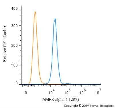 Flow Cytometry: AMPK alpha 1 Antibody (2B7) [NBP2-22127] - An intracellular stain was performed on RH-30 cells with AMPK alpha 1 Antibody (2B7) NBP2-22127PE (blue) and a matched isotype control (orange). Cells were fixed with 4% PFA and then permeablized with 0.1% saponin. Cells were incubated in an antibody dilution of 2.5 ug/mL for 30 minutes at room temperature. Both antibodies were conjugated to Phycoerythrin.