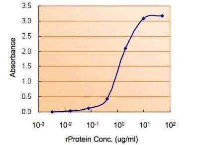 ELISA: AMPK alpha 2 Antibody [NBP2-15381] - ELISA detection of AMPK alpha 2 concentration of 2.5 ug/mL 