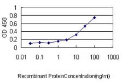 Sandwich ELISA: AMSH/STAMBP Antibody (1A8) [H00010617-M01] - Detection limit for recombinant GST tagged STAMBP is approximately 0.3ng/ml as a capture antibody.