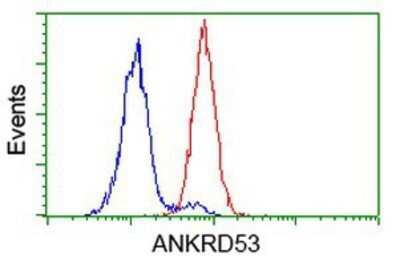 Flow Cytometry: ANKRD53 Antibody (OTI1E1) - Azide and BSA Free [NBP2-72217] - Analysis of Hela cells, using anti-ANKRD53 antibody, (Red), compared to a nonspecific negative control antibody (Blue).