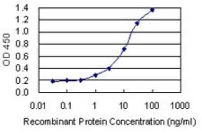 ELISA: ANP32B Antibody (8E10) [H00010541-M05] - Detection limit for recombinant GST tagged ANP32B is 0.3 ng/ml as a capture antibody.