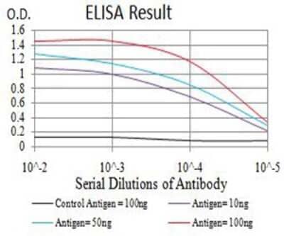 ELISA: AP-2 beta/TFAP2B Antibody (6F7G1) [NBP2-61858] - Black line: Control Antigen (100 ng);Purple line: Antigen (10ng); Blue line: Antigen (50 ng); Red line:Antigen (100 ng)