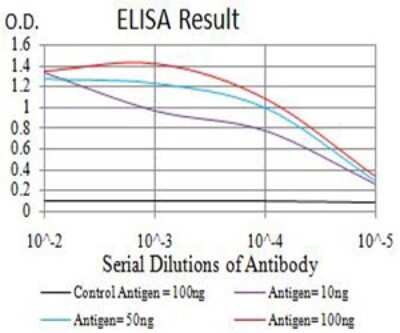 ELISA: AP-2 gamma Antibody (3A11A5) [NBP2-61859] - Black line: Control Antigen (100 ng);Purple line: Antigen (10ng); Blue line: Antigen (50 ng); Red line:Antigen (100 ng)