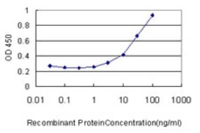 Sandwich ELISA: AP1S2 Antibody (3B9-G5) [H00008905-M01] - Detection limit for recombinant GST tagged AP1S2 is approximately 3ng/ml as a capture antibody.