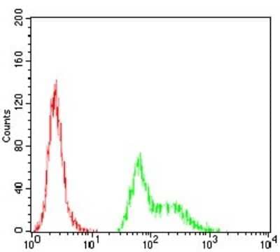 Flow Cytometry: AP2 alpha Antibody (1A10C5) [NBP2-52571] - Analysis of Hela cells using TFAP2A mouse mAb (green) and negative control (red).