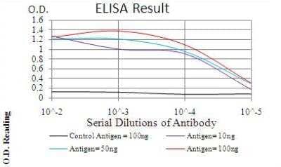 ELISA: AP2 alpha Antibody (7D2B5) [NBP2-52572] - Black line: Control Antigen (100 ng); Purple line: Antigen(10ng); Blue line: Antigen (50 ng); Red line: Antigen (100 ng);