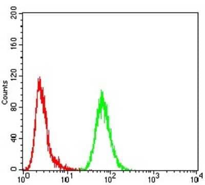 Flow Cytometry: AP2 alpha Antibody (7D2B5) [NBP2-52572] - Analysis of MCF-7 cells using TFAP2A mouse mAb (green) and negative control (red).