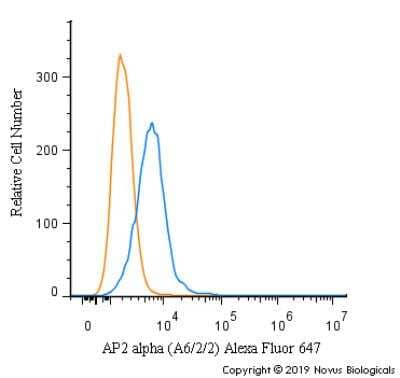 Flow Cytometry: AP2 alpha Antibody (A6/2/2) [Alexa Fluor® 647] [NB600-202AF647] - An intracellular stain was performed on Hek293 cells with AP2 alpha [A6/2/2] Antibody NB600-202AF647 (blue) and a matched isotype control (orange). Cells were fixed with 4% PFA and then permeabilized with 0.1% saponin. Cells were incubated in an antibody dilution of 5 ug/mL for 30 minutes at room temperature. Both antibodies were conjugated to Alexa Fluor 647.