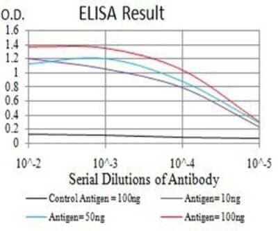 ELISA: AP2M1 Antibody (4F1B2) [NBP2-61866] - Black line: Control Antigen (100 ng);Purple line: Antigen (10ng); Blue line: Antigen (50 ng); Red line:Antigen (100 ng)