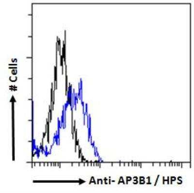 Flow Cytometry: AP3B1 Antibody [NBP2-61999] - Paraformaldehyde fixed HepG2 cells (blue line), permeabilized with 0.5% Triton. Primary incubation 1hr (10 ug/ml) followed by Alexa Fluor 488 secondary antibody (1 ug/ml). IgG control: Unimmunized goat IgG (black line) followed by Alexa Fluor 488 secondary antibody.