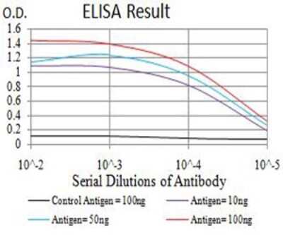 ELISA: APBA2 Antibody (1C12A4) [NBP2-61881] - Black line: Control Antigen (100 ng);Purple line: Antigen (10ng); Blue line: Antigen (50 ng); Red line:Antigen (100 ng)