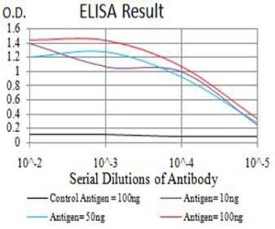 ELISA: APBA2 Antibody (7G5G11) [NBP2-61880] - Black line: Control Antigen (100 ng);Purple line: Antigen (10ng); Blue line: Antigen (50 ng); Red line:Antigen (100 ng)