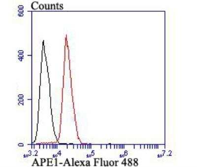 Flow Cytometry: APE Antibody (12H1) [NBP2-76919] - Flow cytometric analysis of APE1 was done on SiHa cells. The cells were fixed, permeabilized and stained with APE1 antibody at 1/100 dilution (red) compared with an unlabelled control (cells without incubation with primary antibody; black). After incubation of the primary antibody on room temperature for an hour, the cells was stained with a Alexa Fluor 488-conjugated goat anti-mouse IgG Secondary antibody at 1/500 dilution for 30 minutes.