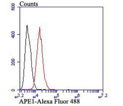 Flow Cytometry: APE Antibody (12H4) [NBP2-76930] - Flow cytometric analysis of APE1 was done on SiHa cells. The cells were fixed, permeabilized and stained with APE1 antibody at 1/100 dilution (red) compared with an unlabelled control (cells without incubation with primary antibody; black). After incubation of the primary antibody on room temperature for an hour, the cells was stained with a Alexa Fluor 488-conjugated goat anti-mouse IgG Secondary antibody at 1/500 dilution for 30 minutes.