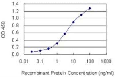 ELISA: APOB48R Antibody (2D7) [H00055911-M03] - Detection limit for recombinant GST tagged APOB48R is 0.03 ng/ml as a capture antibody.