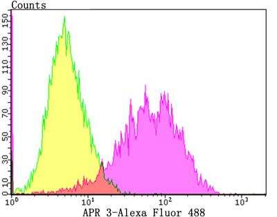 Flow Cytometry: APR3 Antibody [NBP2-76907] - Flow cytometric analysis of MCF-7 cells with APR3 antibody at 1/100 dilution (Pink purple) compared with an unlabelled control (cells without incubation with primary antibody; Yellow). Alexa Fluor 488-conjugated goat anti-rabbit IgG was used as the secondary antibody.