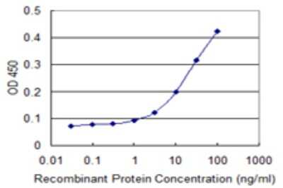 Sandwich ELISA: APRIL/TNFSF13 Antibody (4A11) [H00008741-M06] - Detection limit for recombinant GST tagged TNFSF13 is 1 ng/ml as a capture antibody.