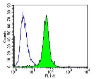 Flow Cytometry: ARF1 Antibody (1D9) [NB300-505] - Analysis of MCF-7 cells compared to an isotype control (blue).