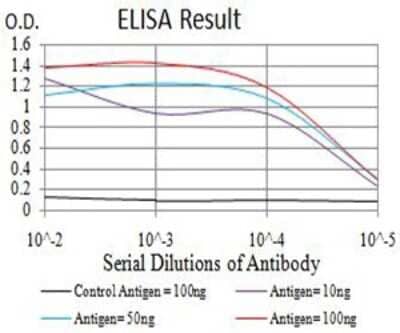 ELISA: ARFGAP1 Antibody (1C4E2) [NBP2-61670] - Black line: Control Antigen (100 ng);Purple line: Antigen (10ng); Blue line: Antigen (50 ng); Red line:Antigen (100 ng)