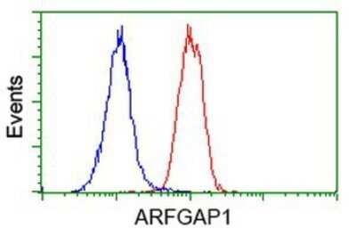 Flow Cytometry: ARFGAP1 Antibody (OTI1F6) - Azide and BSA Free [NBP2-72013] - Analysis of Hela cells, using anti-ARFGAP1 antibody, (Red), compared to a nonspecific negative control antibody (Blue).