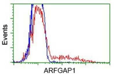 Flow Cytometry: ARFGAP1 Antibody (OTI1F6) - Azide and BSA Free [NBP2-72013] - HEK293T cells transfected with either overexpression plasmid (Red) or empty vector control plasmid (Blue) were immunostaining by anti-ARFGAP1 antibody, and then analyzed by flow cytometry.