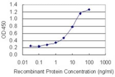 Sandwich ELISA: ARFGEF1 Antibody (3E11) [H00010565-M02] - Detection limit for recombinant GST tagged ARFGEF1 is 0.1 ng/ml as a capture antibody.