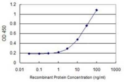 Sandwich ELISA: ARG2 Antibody (3D10) [H00000384-M05] - Detection limit for recombinant GST tagged ARG2 is 0.3 ng/ml as a capture antibody.