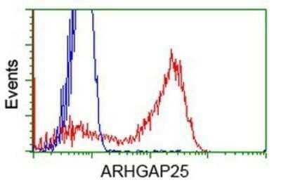 Flow Cytometry ARHGAP25 Antibody (OTI2D5)