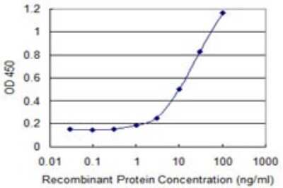 Sandwich ELISA ARHGAP6 Antibody (1G5)