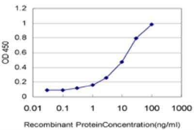 ELISA: ARHGEF1 Antibody (4C4) [H00009138-M03] - Detection limit for recombinant GST tagged ARHGEF1 is approximately 0.3ng/ml as a capture antibody.