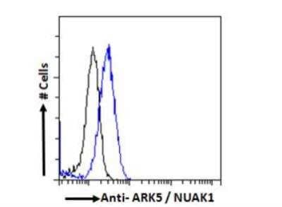 Flow Cytometry: ARK5/NUAK1 Antibody [NBP1-36937] -  Analysis of paraformaldehyde fixed A431 cells (blue line), permeabilized with 0.5%Triton. Primary incubation 1hr (10ug/ml) followed by Alexa Fluor 488 secondary antibody (1ug/ml). IgG control: Unimmunized goat IgG (black line) followed by Alexa Fluor 488 secondary antibody