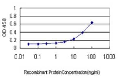 Sandwich ELISA ARL14 Antibody (2C8)