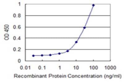 Sandwich ELISA: ARNT2 Antibody (1B2) [H00009915-M03] - Detection limit for recombinant GST tagged ARNT2 is 0.3 ng/ml as a capture antibody.