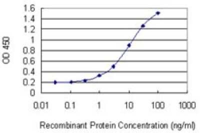 Sandwich ELISA: ARPC3 Antibody (2E11) [H00010094-M06] - Detection limit for recombinant GST tagged ARPC3 is 0.1 ng/ml as a capture antibody.