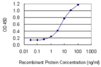 Sandwich ELISA: ARPC5 Antibody (2D10) [H00010092-M02] - Detection limit for recombinant GST tagged ARPC5 is 0.3 ng/ml as a capture antibody.