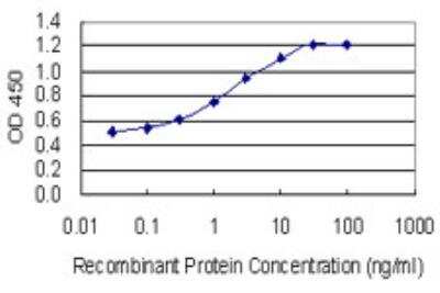 ELISA: ARPM1 Antibody (2H8) [H00084517-M01-100ug] - Detection limit for recombinant GST tagged ARPM1 is 0.03 ng/ml as a capture antibody.